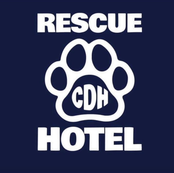 Cardiff Dogs Home, The Rescue Hotel