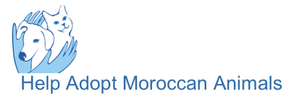 Help Adopt Moroccan Animals