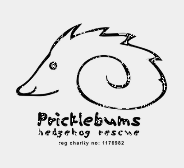 Pricklebums Hedgehog Rescue