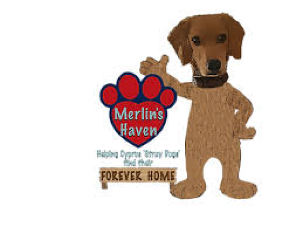 Merlin's Haven