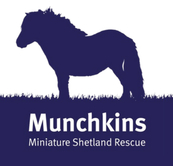 Munchkins Miniature Shetland Rescue