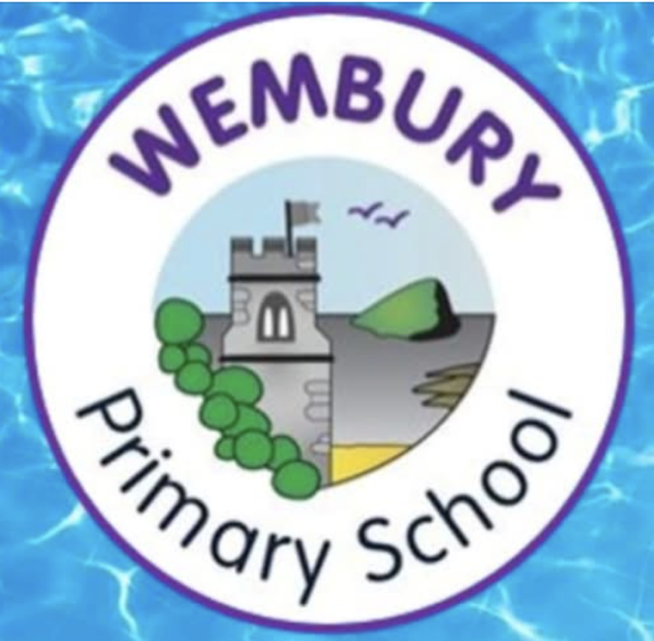 Friends of Wembury School (FROWS)