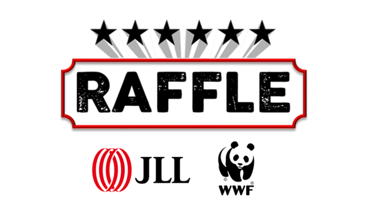 teamwwf