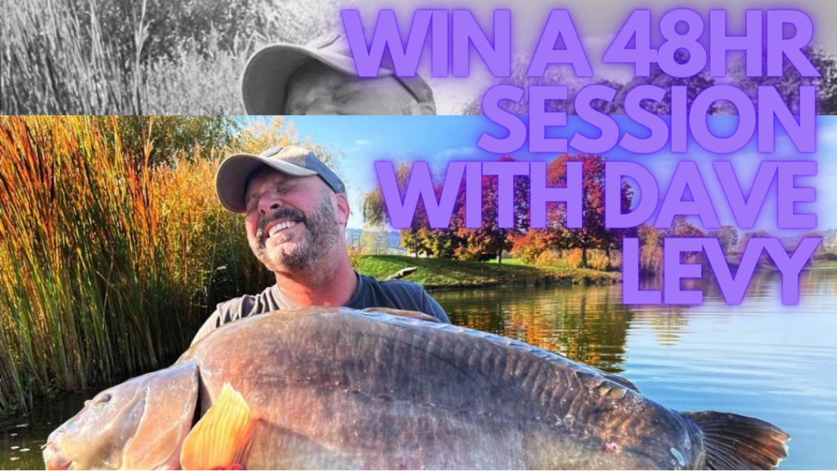 Enter Raffle to Win FISH WITH DAVE LEVY hosted by Matt Scoffham