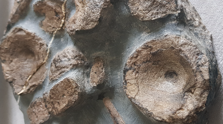 k9lancashirecarpbaits