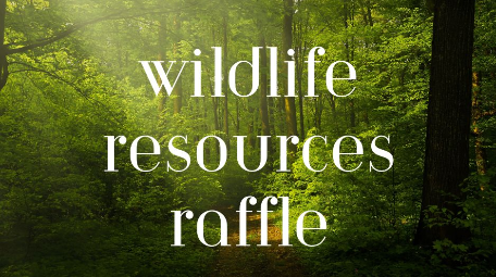 wildthingsrescue