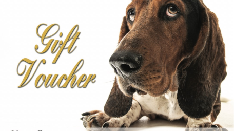 wagsretiredpolicedogs