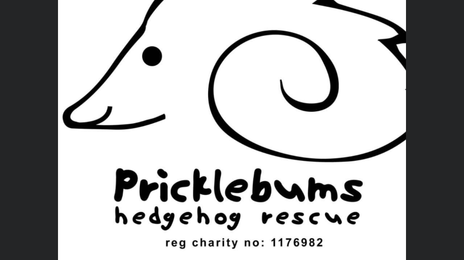 getitdoneludlowoddjobsteam