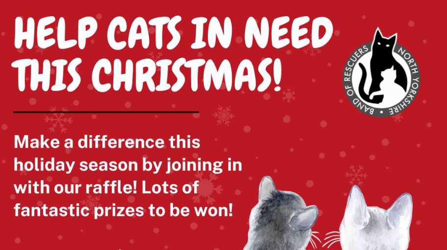 bandofrescuersnorthyorkshire