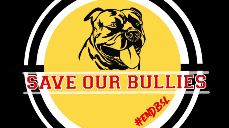 saveourbullies