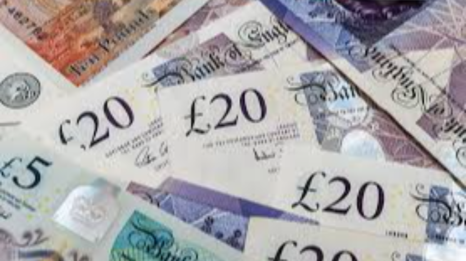 dorset_software_sales