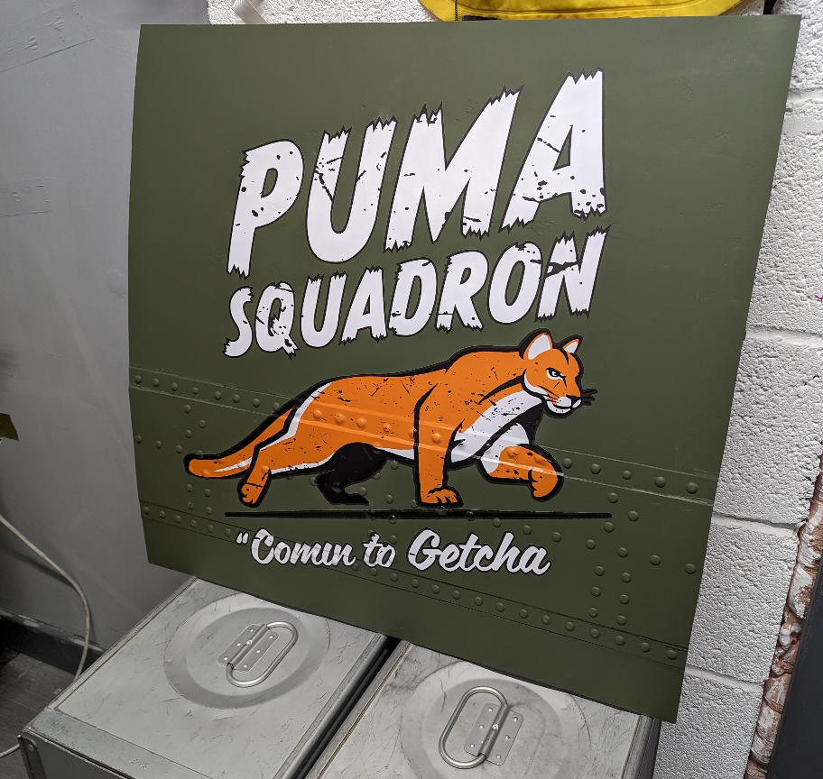 Enter Raffle to Win Genuine puma swn aircraft skin wall art! hosted by