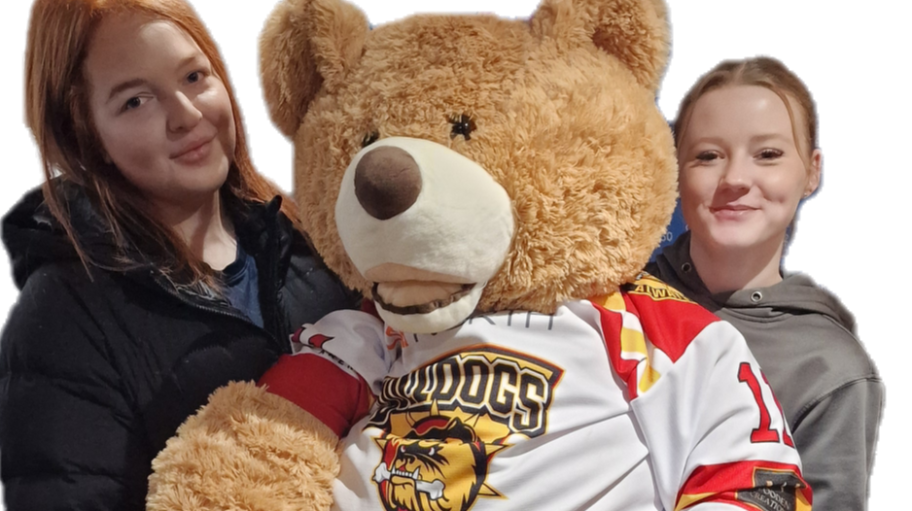 bradfordbulldogsihc