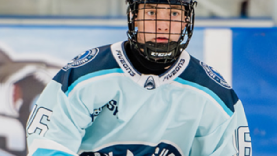 solwaysharks