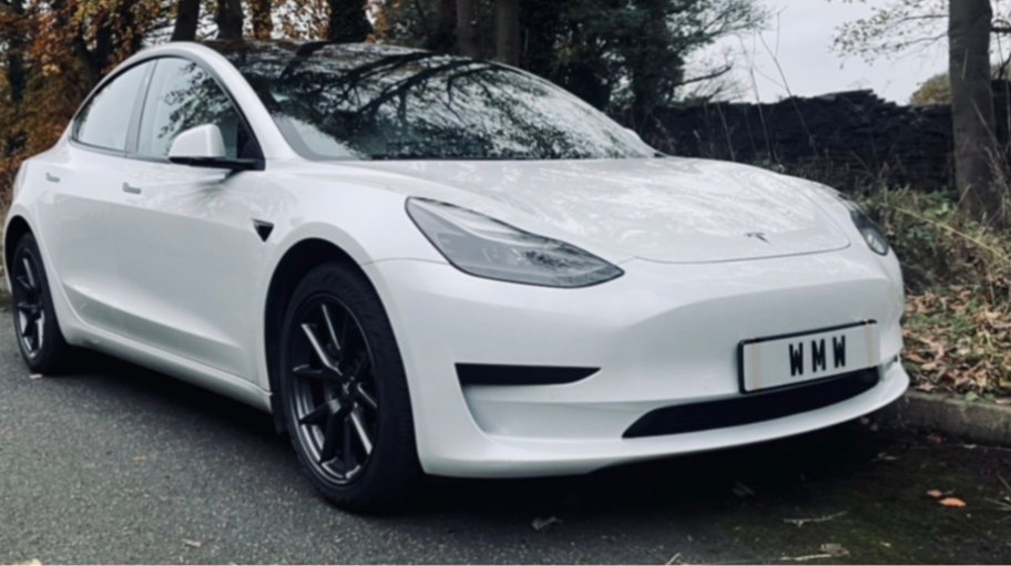 winmywhip