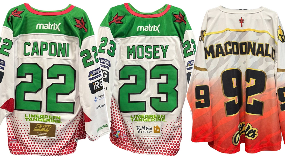 cardiff_devils