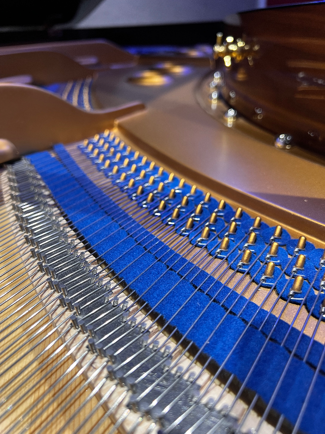 Rebukt Rafle Enter Raffle to Win Rebuilt 1921 Bluthner Style VII Grand Piano hosted ...