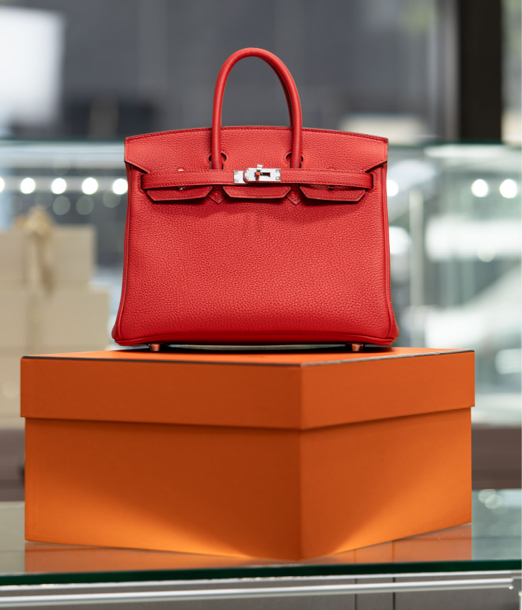 Enter Raffle to Win ROLEX GMT MASTER II, HERMES BIRKIN 25, OR $25K ...
