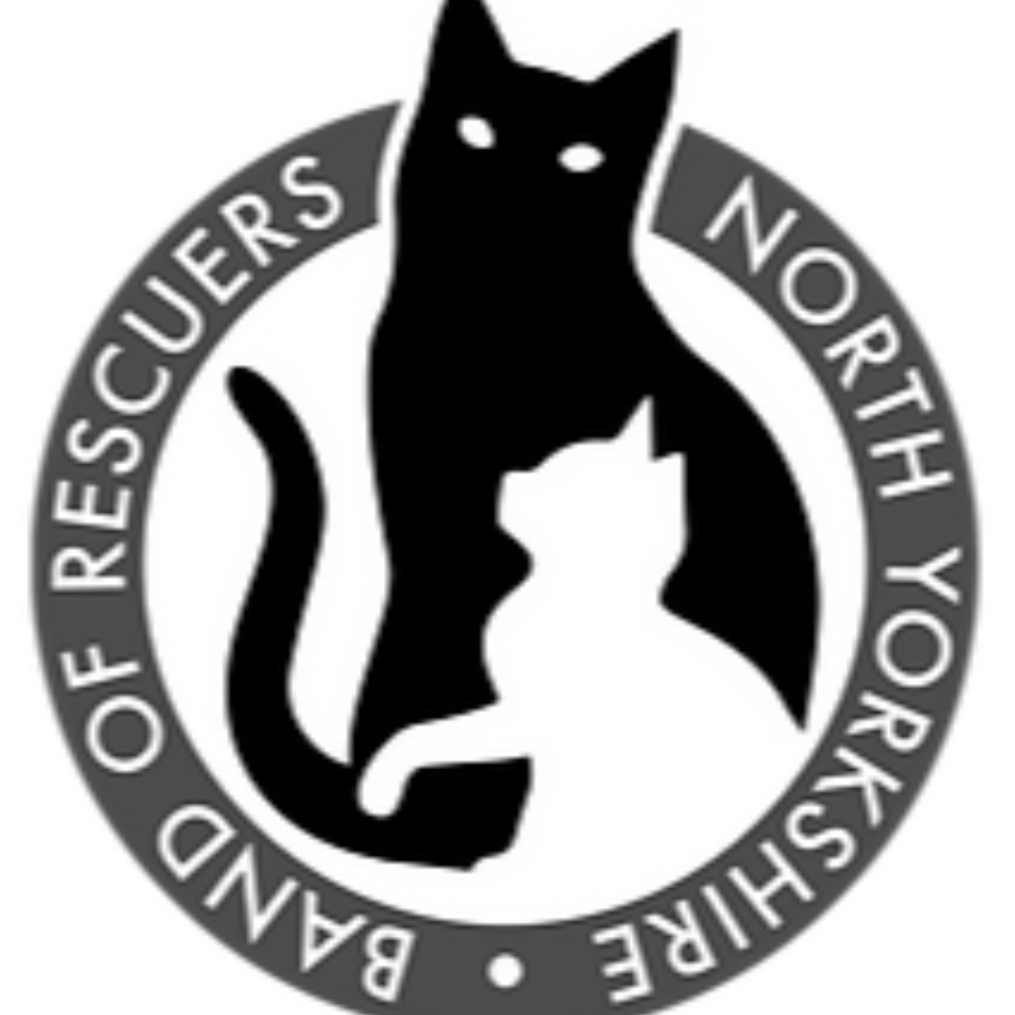 Band of Rescuers North Yorkshire