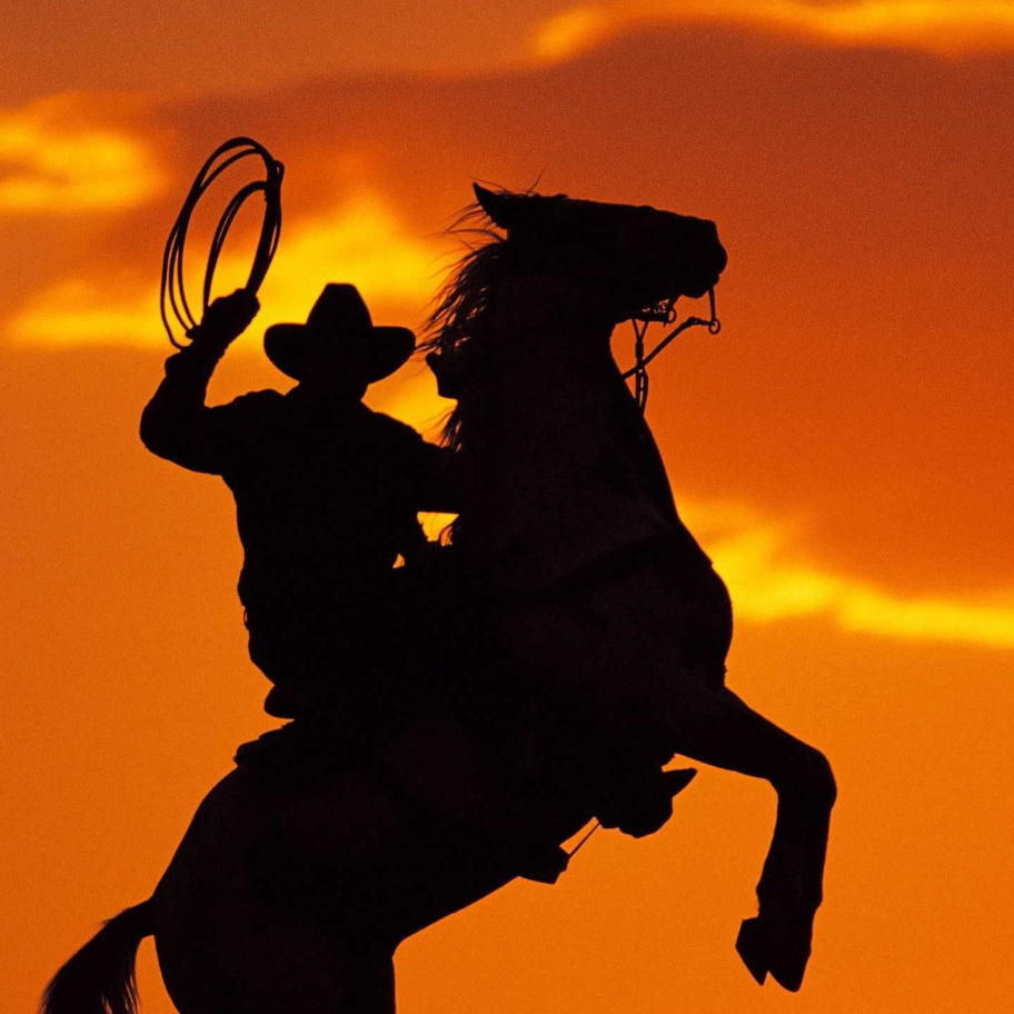 Gringo Cowboy