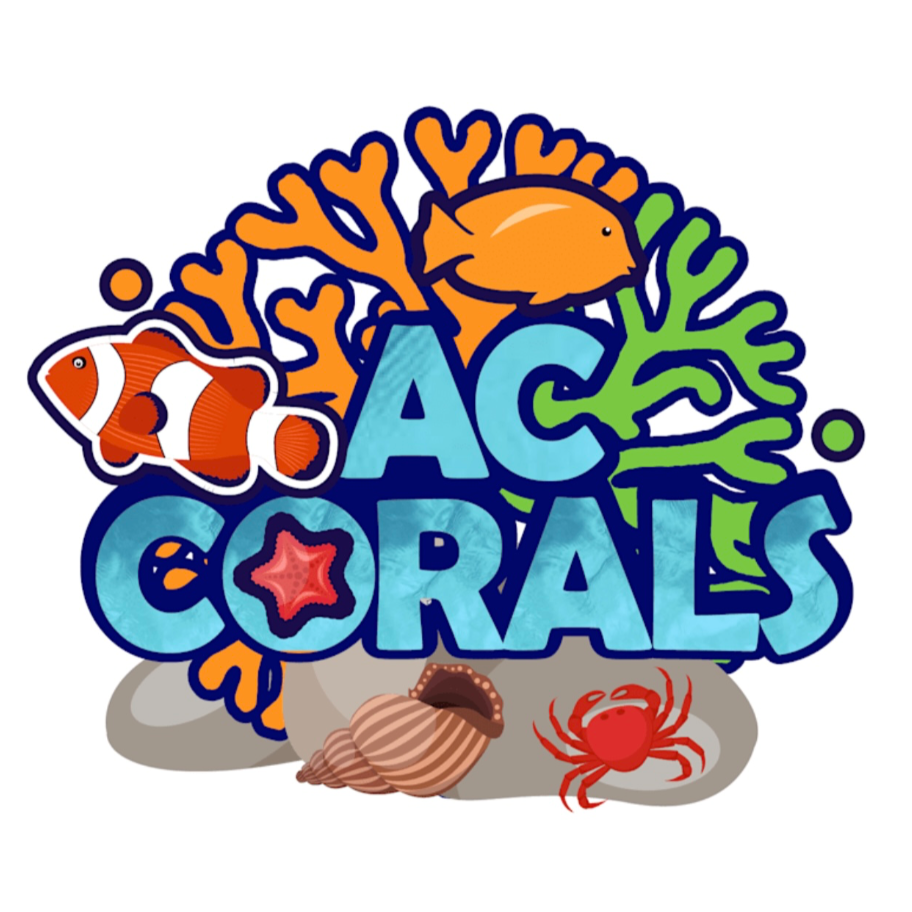 AC Corals Ltd