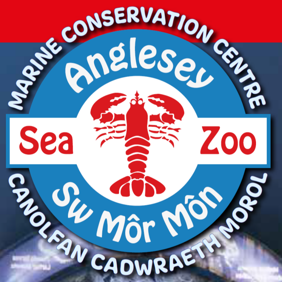 Anglesey Sea Zoo