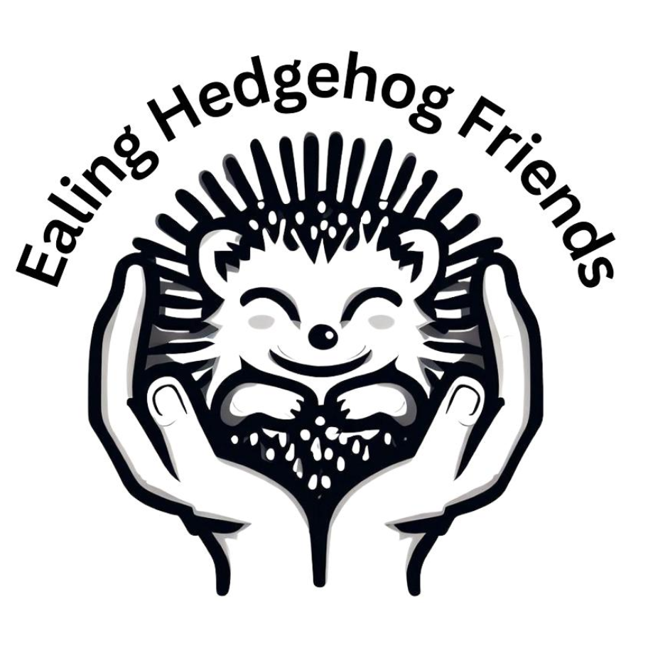 EalingHedgehog Friends