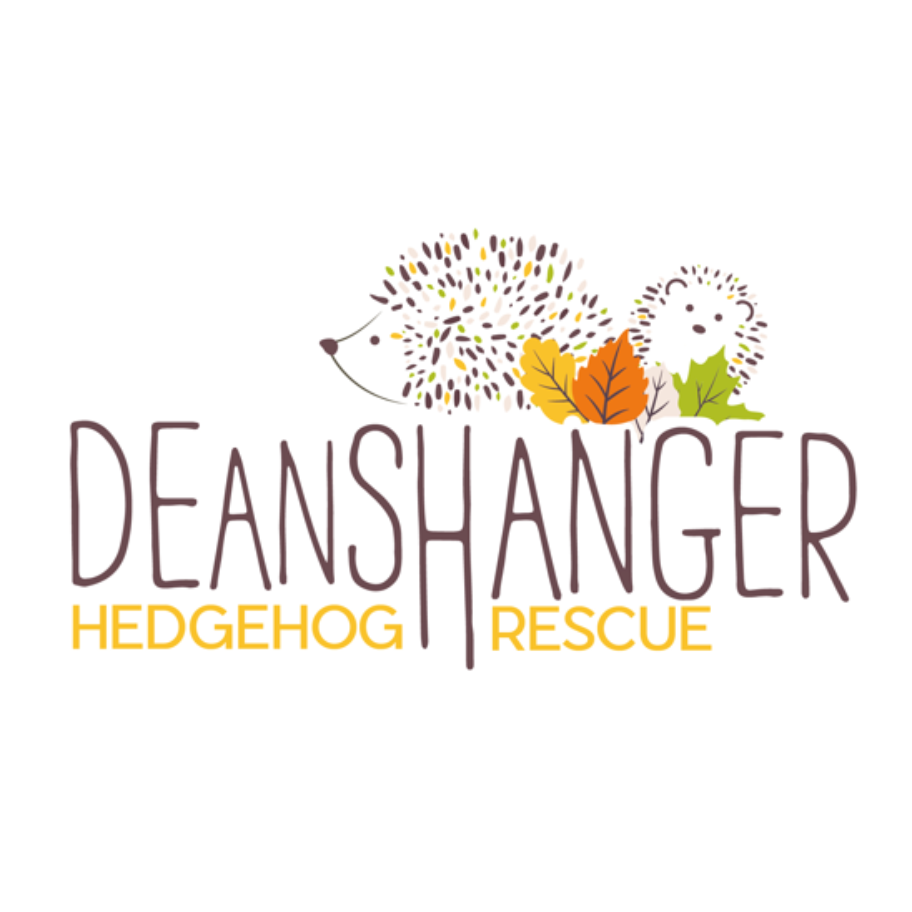 DeanshangerHedgehogRescue