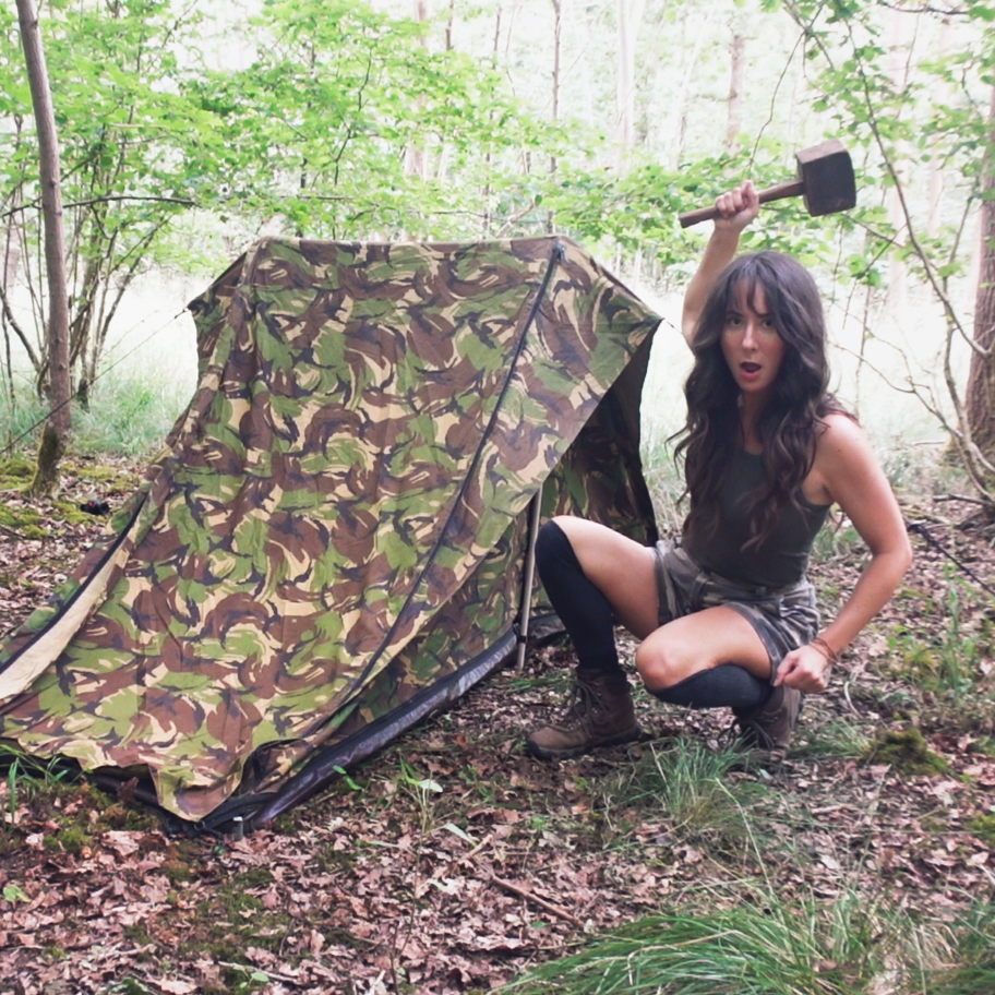 WildBeare